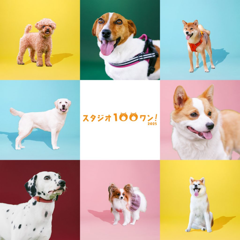 100ワン2025バナー